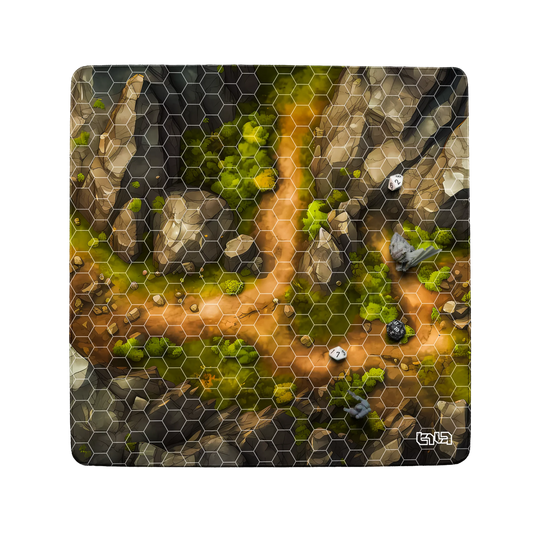 #rozmiar_50x50