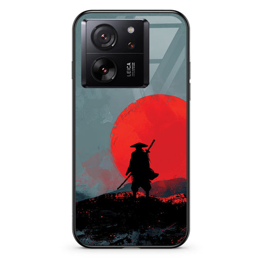 #model_xiaomi-xiaomi-13t-pro