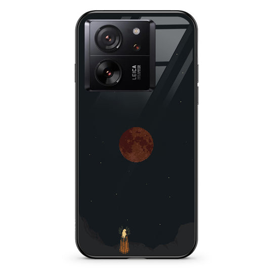 #model_xiaomi-xiaomi-13t-pro