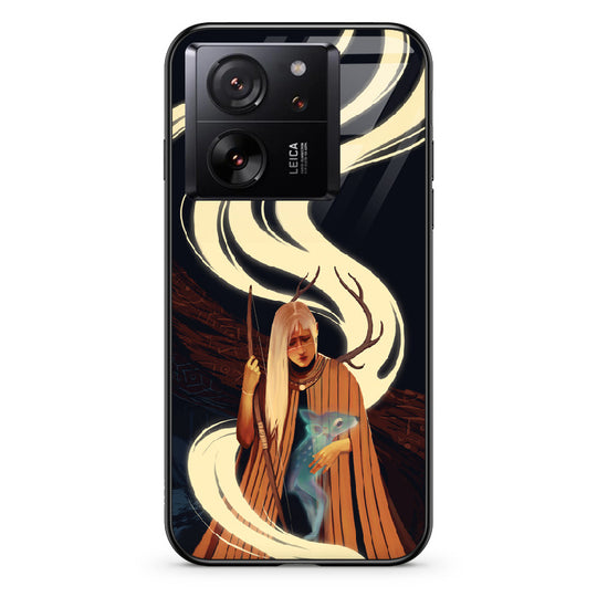 #model_xiaomi-xiaomi-13t-pro