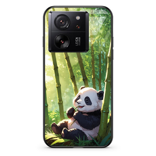 #model_xiaomi-xiaomi-13t-pro